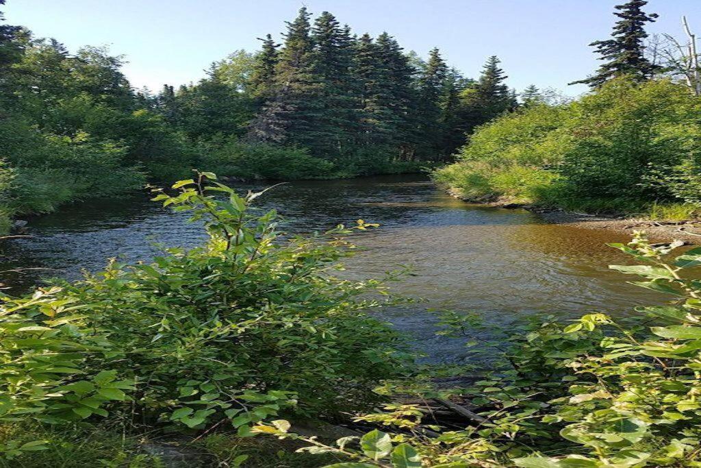 Moose Meadows- Near The Airport, Centrally Located 安克拉治 外观 照片